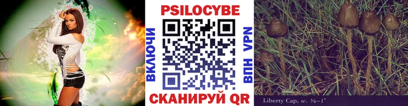 Псилоцибиновые грибы Psilocybine cubensis  Уржум 